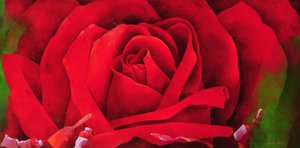 La rose, 1997